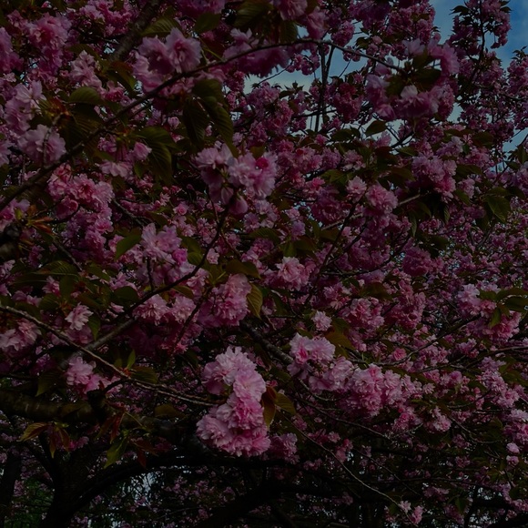 blossombeadgood